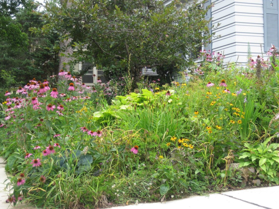 Ecological Landscape Design Studio | Madison, WI